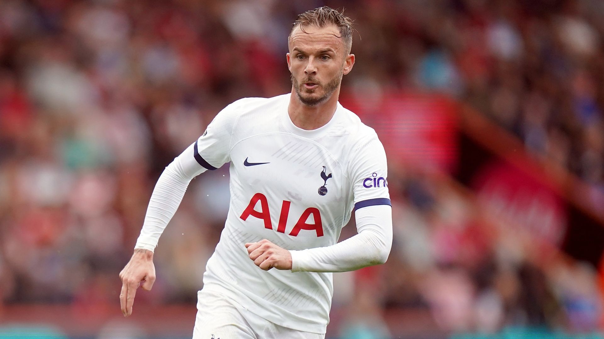 Maddison has been the key man for Spurs this season