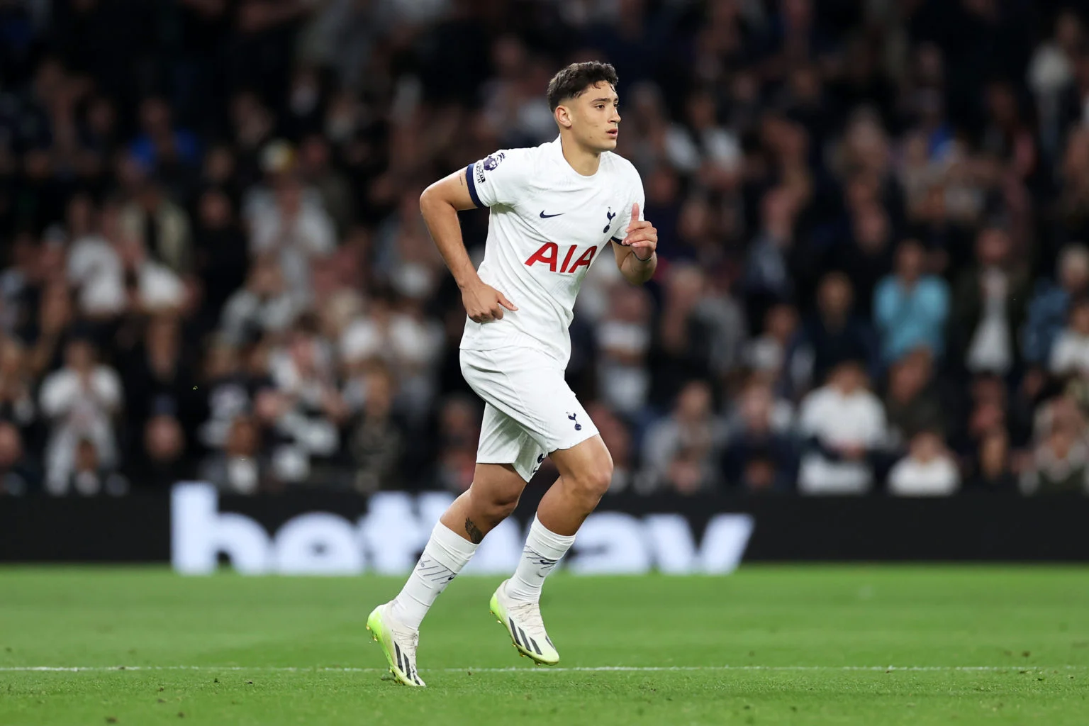 Journalist says 20-year-old Tottenham player has impressed Ange Postecoglou